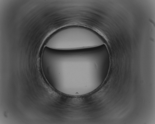 X0000093151029200709261012