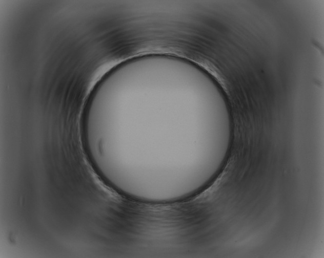 X0000093151030200709261012