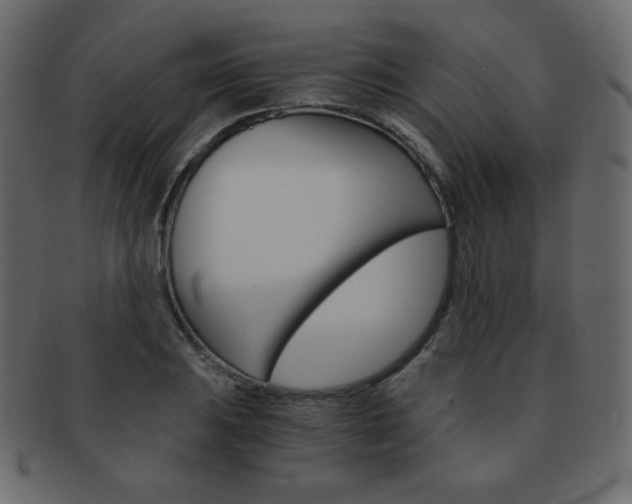 X0000093151031200709261012