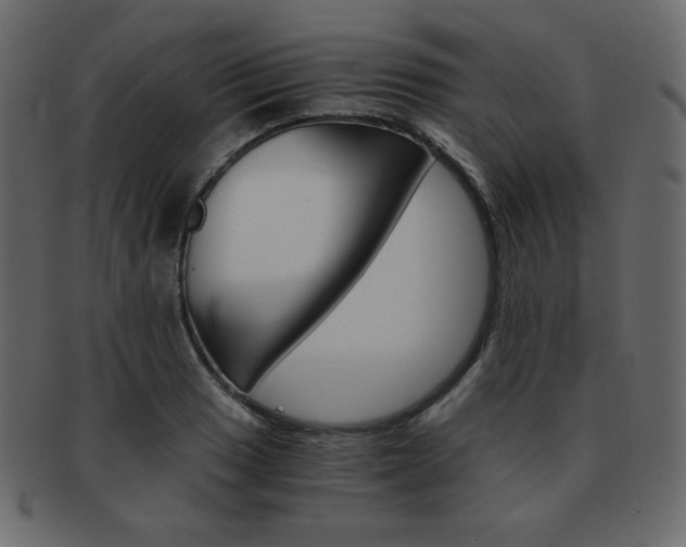 X0000093151033200709261012
