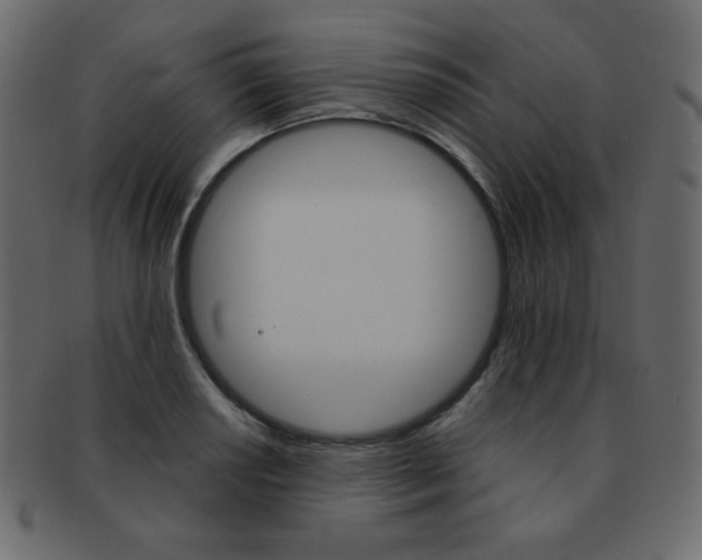 X0000093151034200709261012