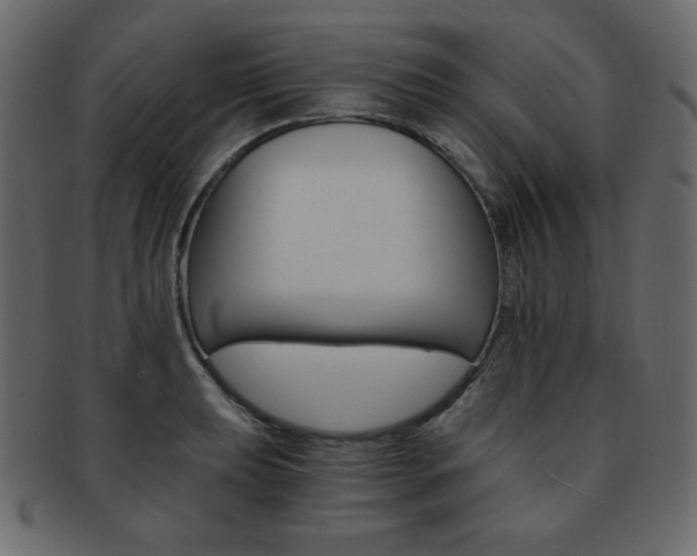 X0000093151039200709261012