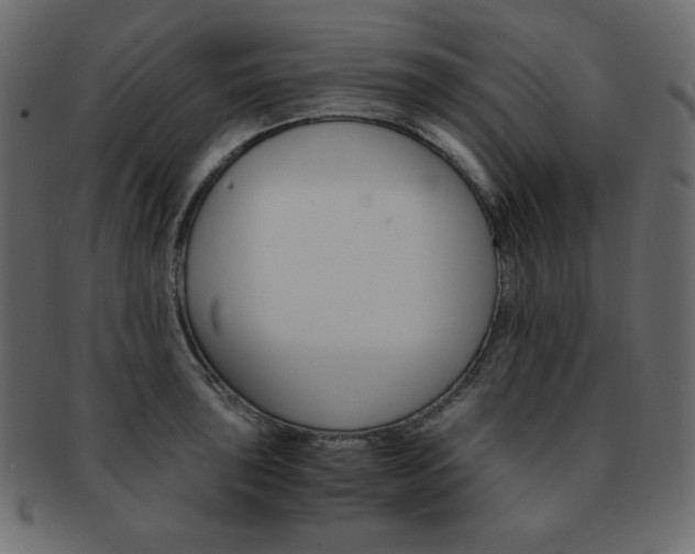 X0000093151043200709261012