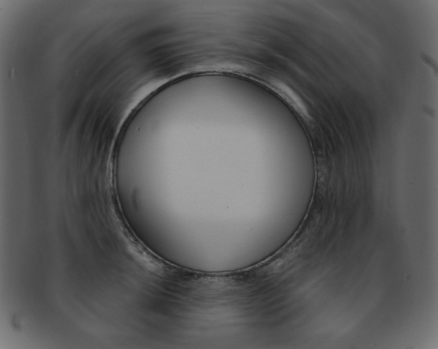 X0000093151044200709261012