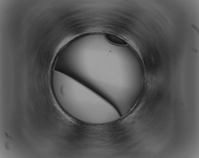 X0000093151045200709261012