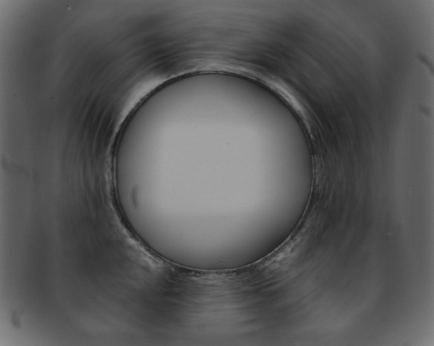 X0000093151048200709261012