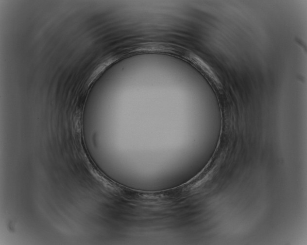 X0000093151049200709261012