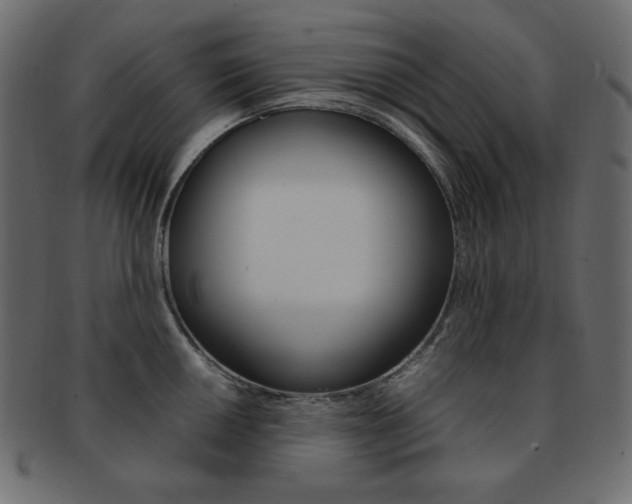 X0000093151050200709261012