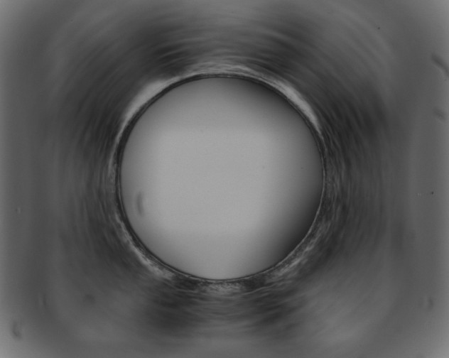 X0000093151053200709261012