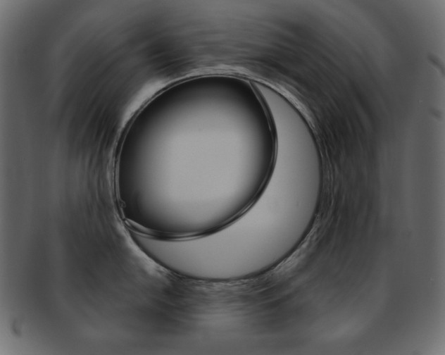 X0000093151054200709261012