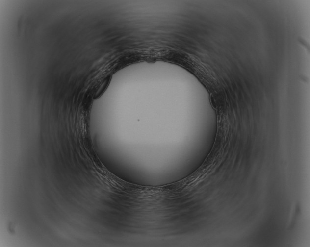 X0000093151058200709261012