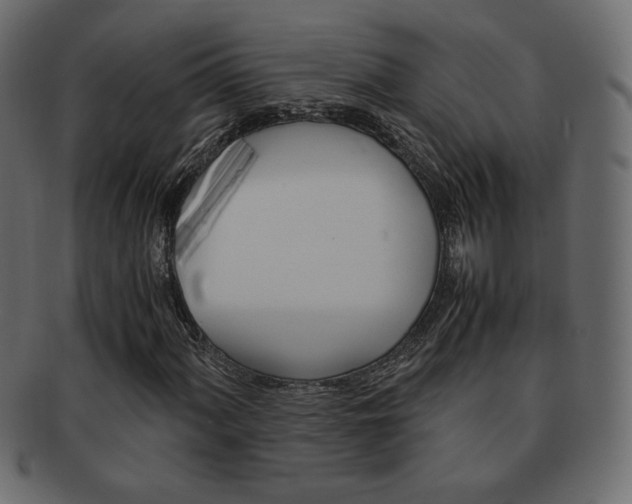 X0000093151060200709261012