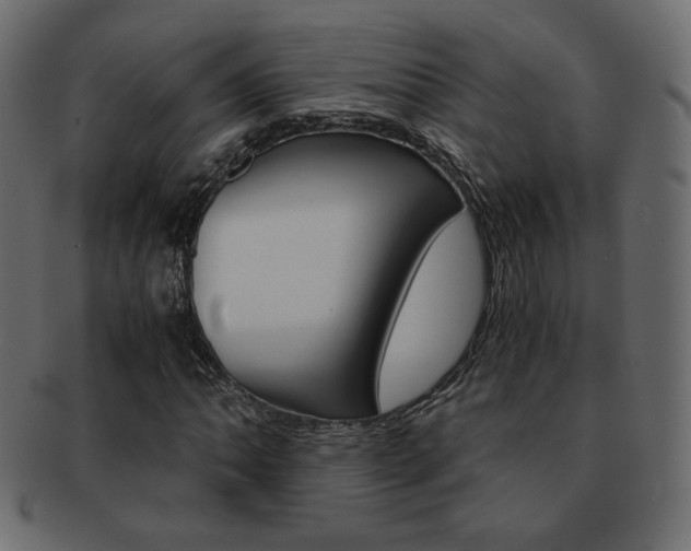 X0000093151062200709261012