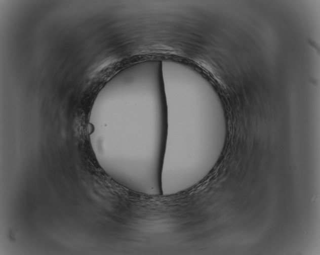X0000093151063200709261012