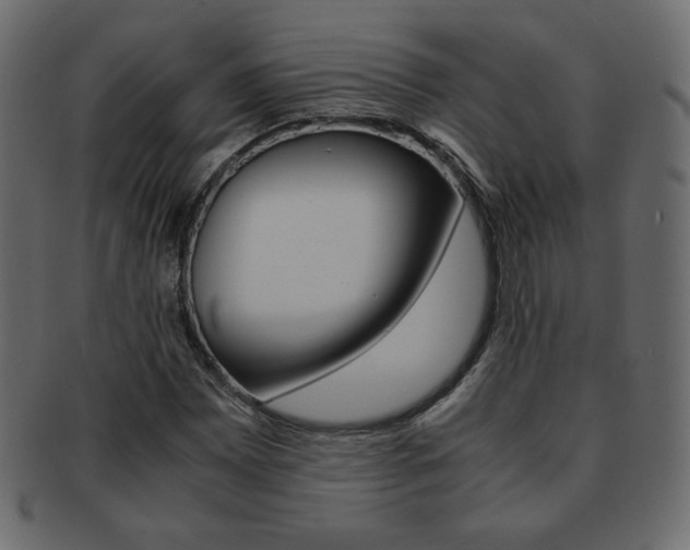 X0000093151065200709261012