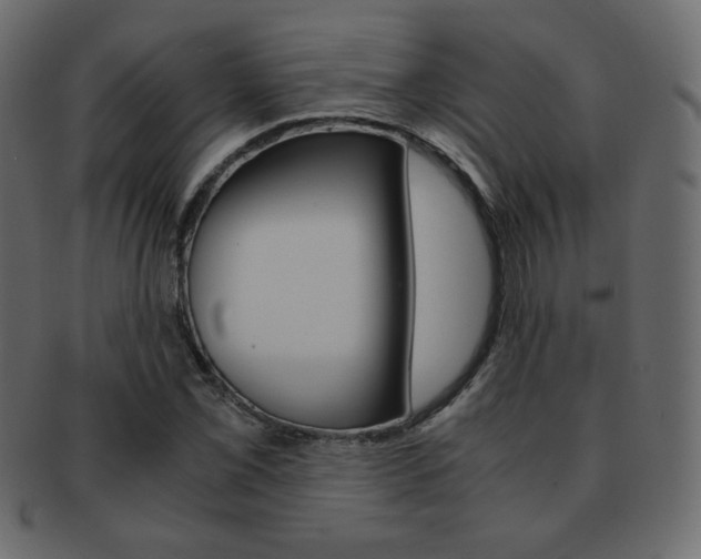 X0000093151069200709261011