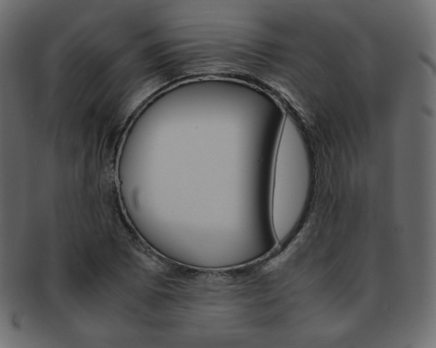 X0000093151073200709261011