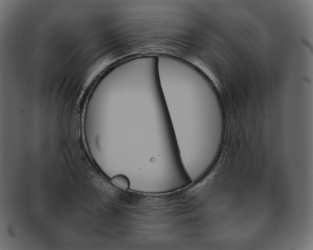 X0000093151075200709261011
