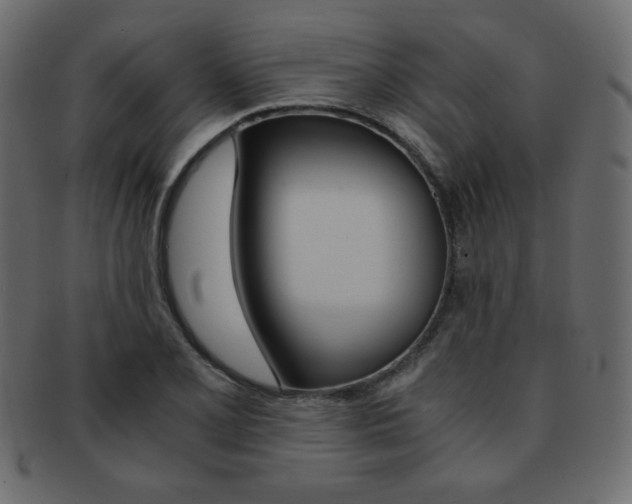 X0000093151077200709261011