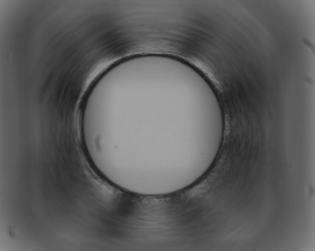 X0000093151078200709261011
