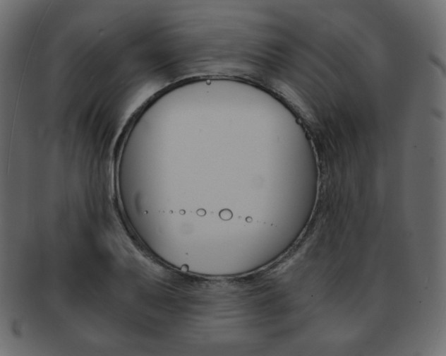 X0000093151079200709261011