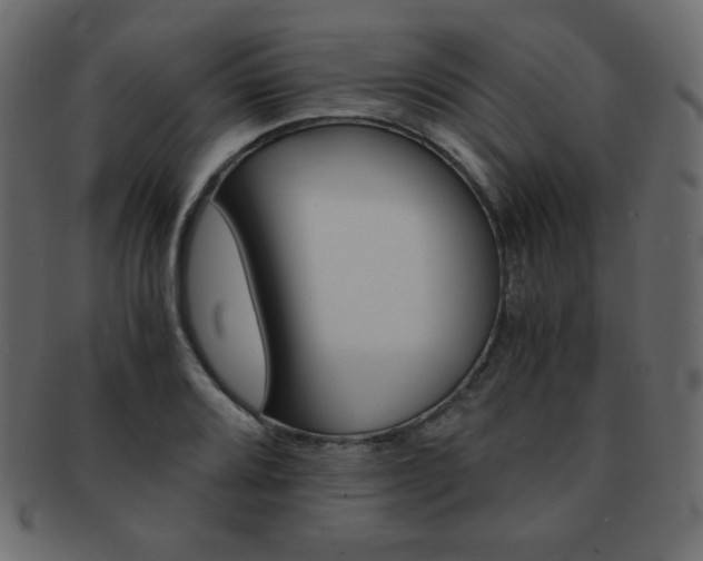 X0000093151080200709261011