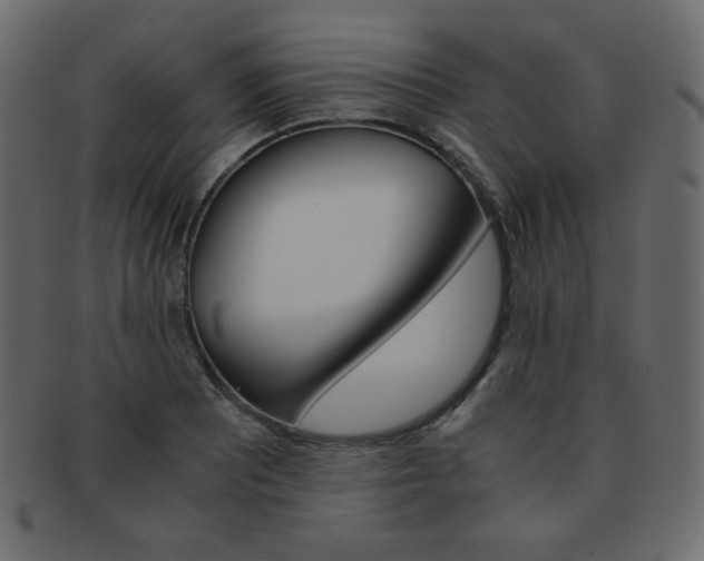 X0000093151081200709261011