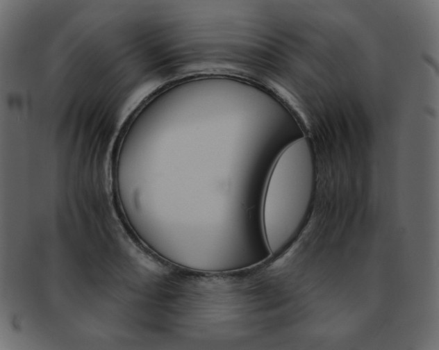 X0000093151082200709261011
