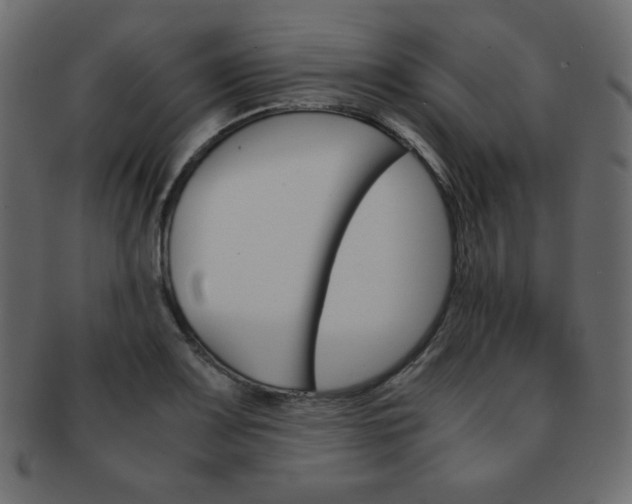 X0000093151083200709261011