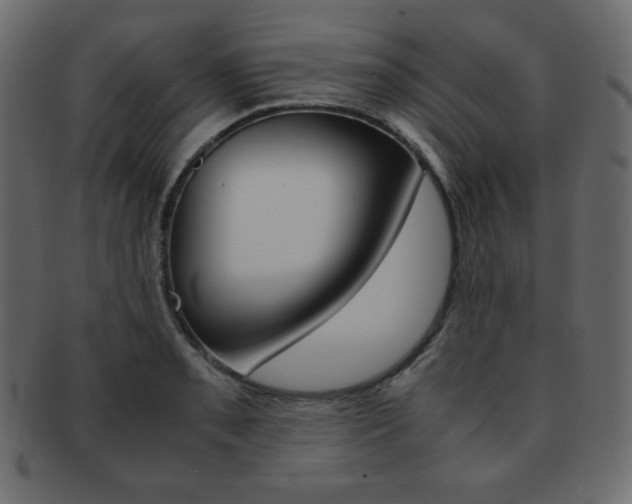 X0000093151085200709261011
