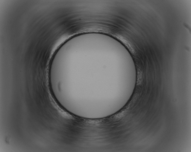 X0000093151086200709261011