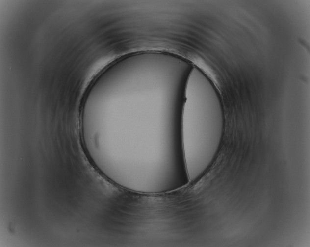 X0000093151088200709261011