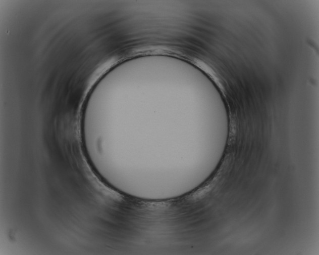 X0000093151090200709261011