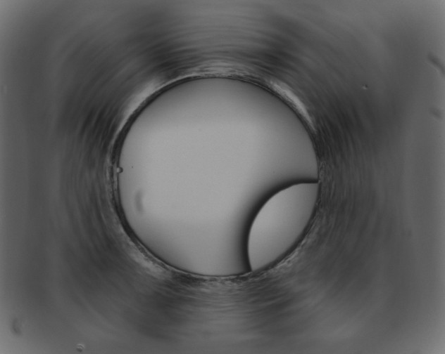 X0000093151091200709261011