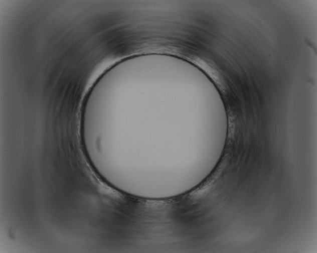 X0000093151094200709261011