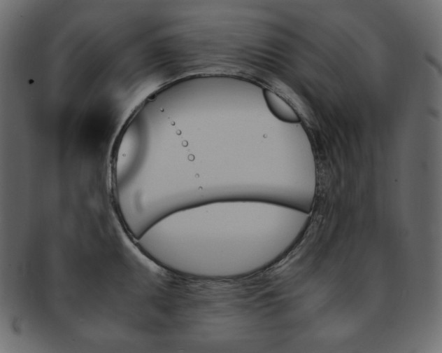 X0000093151095200709261011