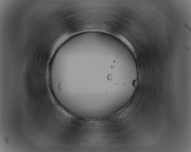 X0000093151096200709261011