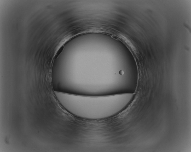 X0000093151097200709261011