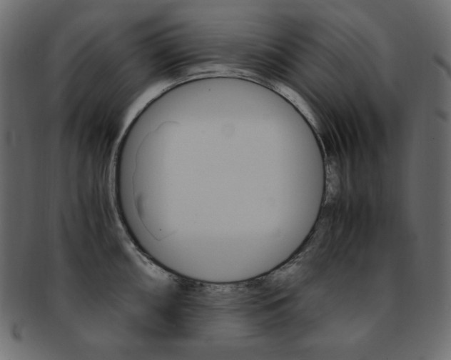 X0000093151098200709261011