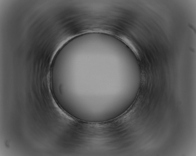 X0000093151100200709261011