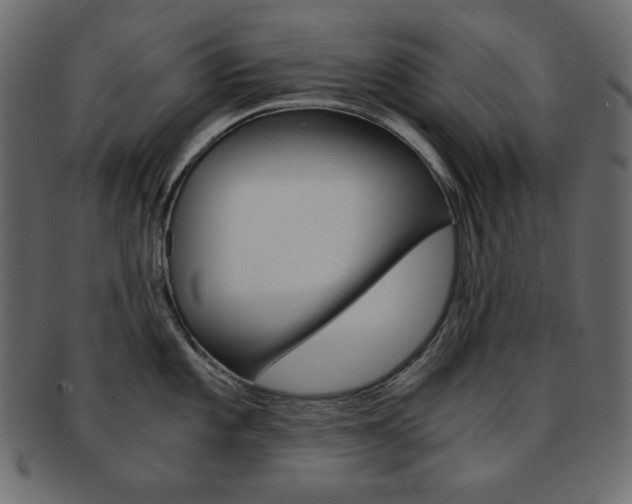 X0000093151101200709261011