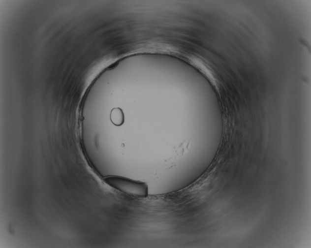X0000093151103200709261011