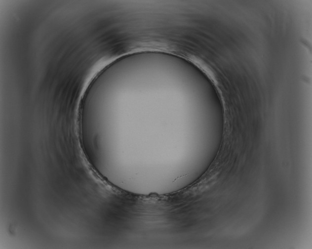 X0000093151104200709261011