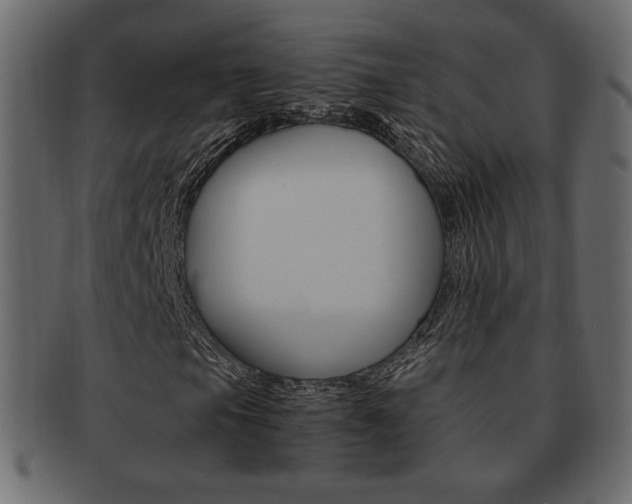 X0000093151105200709261011