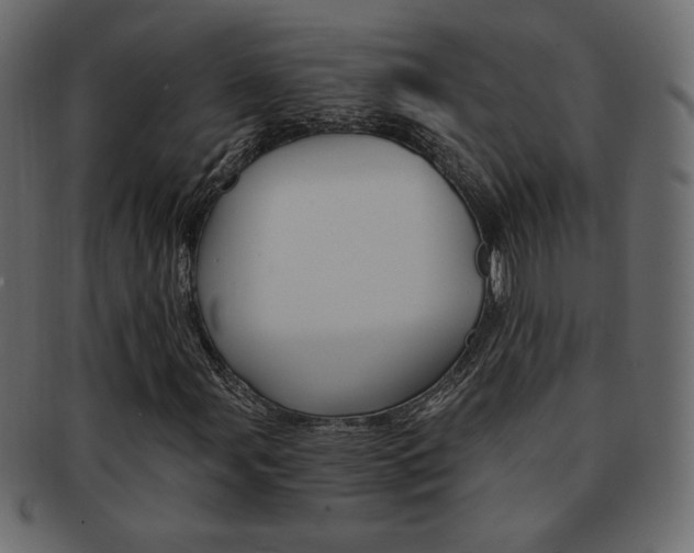 X0000093151107200709261011