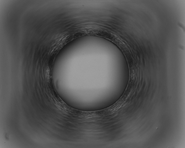 X0000093151108200709261011