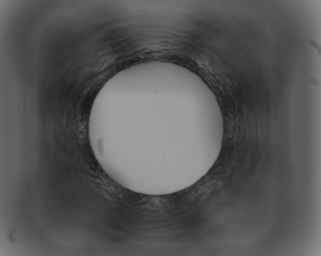 X0000093151109200709261011