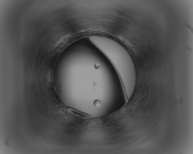 X0000093151110200709261011