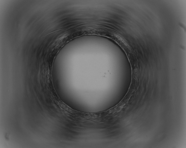 X0000093151111200709261011