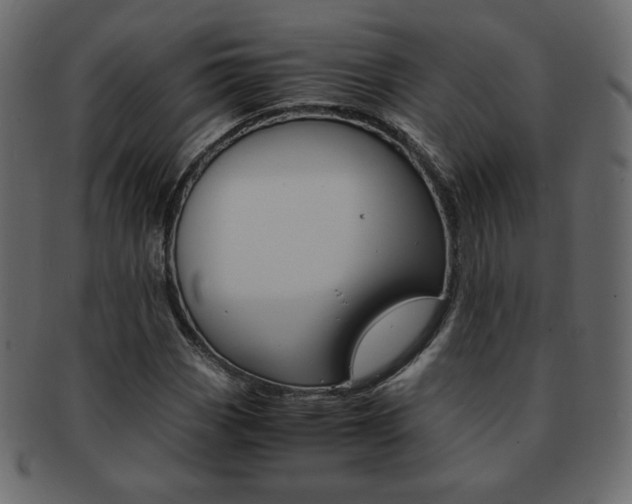 X0000093151113200709261011